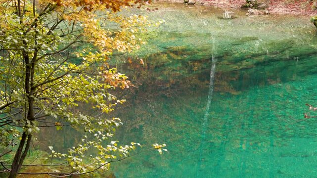 Oko Skakavice, the Blue Eye of Montenegro surrounded by colorful foliage in red, yellow and orange in autumn