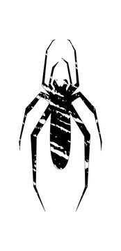 Spider halloween icon, spooky cartoon black widow spider isolated