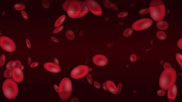 Microscopic 3D render of human red blood cells floating and flowing through the bloodstream in a dark red anatomical background for science