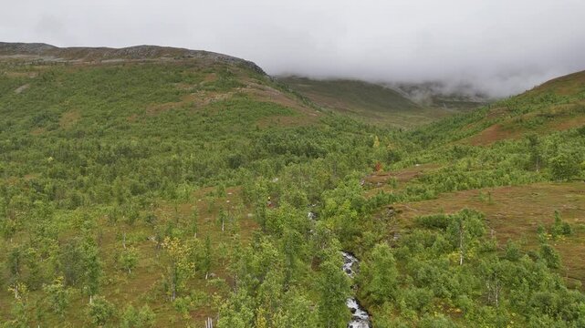 Aerial view of a lush green valley with a small stream flowing through rolling hills under a cloudy sky in Tromso, Troms, Norway.