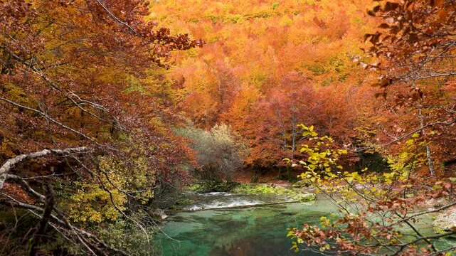 Prokletje, the Accursed Mountains, in Montenegro along the border to Albania during autumn with colorful foliage of red, orange and yellow