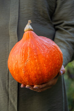 Woman holding red kuri squash autumn harvest