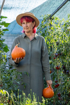 Woman harvesting pumpkins in a greenhouse garden
