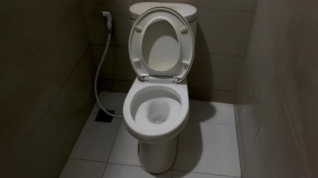White Ceramic Flush Toilet with Bidet Sprayer in Public Restroom