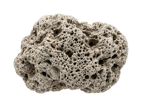 Light gray pumice stone rock isolated on transparent background for volcanic study use