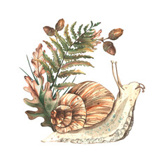 An autumn watercolor illustration featuring forest plants and animals. A composition featuring a snail with plants, leaves, and acorns. Hand-drawn. A template for autumn design. © Ulyana