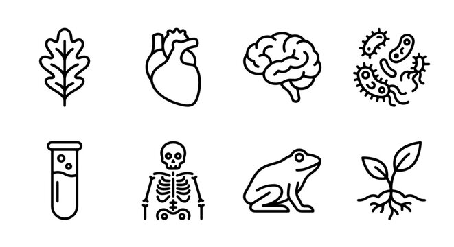 Scientific and Biological Icons: Oak Leaf, Heart, Brain, Bacteria, Test Tube, Skeleton, Frog, Plant Seedling Vector Set