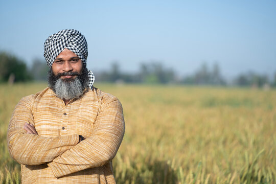 Portrait of an indian punjabi sikh farmer arm crossed and standing at the green wheat agriculture farmland at village. Concept of rural punjab in india