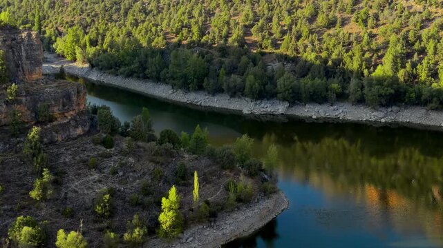 Hoces del Duraton canyon cliff tilt up view, Segovia Spain. Detail shot of limestone rock wall, forest slope and river. High quality 4k footage