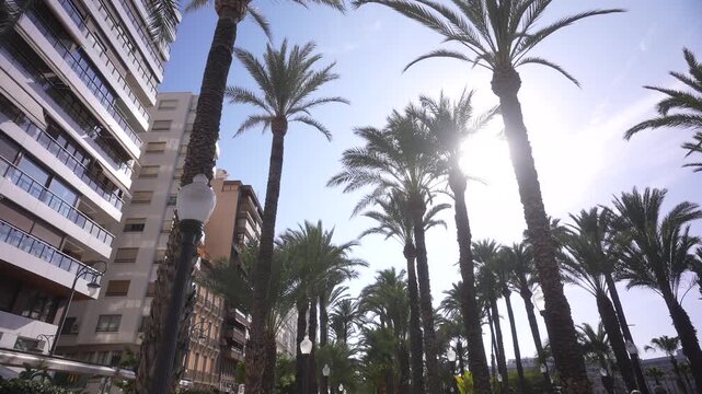 View of sun shining through palm trees on Explanada of Spain on a sunny day, Alicante, Costa Blanca, Spain