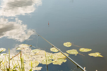 Fishing rod and float on calm lake with water lilies © Iryna Miadzvedzeva