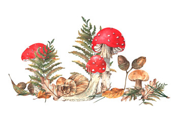 An autumn watercolor illustration featuring forest plants and animals. A composition of forest mushrooms and a snail surrounded by foliage, fly agarics and plants. Hand-drawn © Ulyana