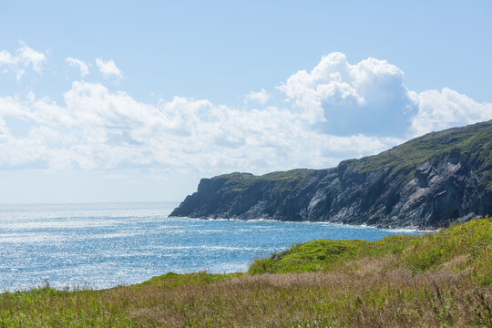 Newfoundland