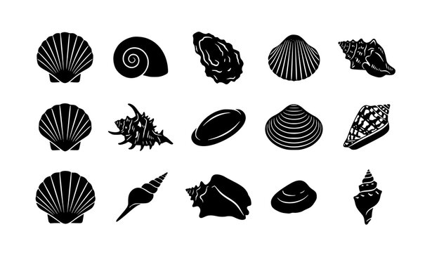 Flat Black Seashell Vector Icons, Ocean Beach Shell Silhouette Collection