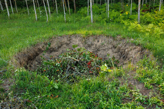 Garden pit filled with branches and organic yard waste