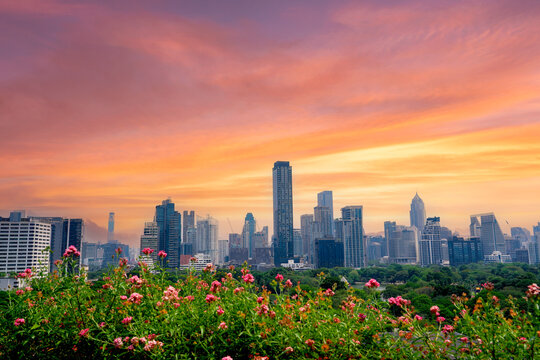 Pink flowers bloom in the foreground while tall city buildings rise under a vibrant golden sunset sky over Lumphini Park in Bangkok Thailand