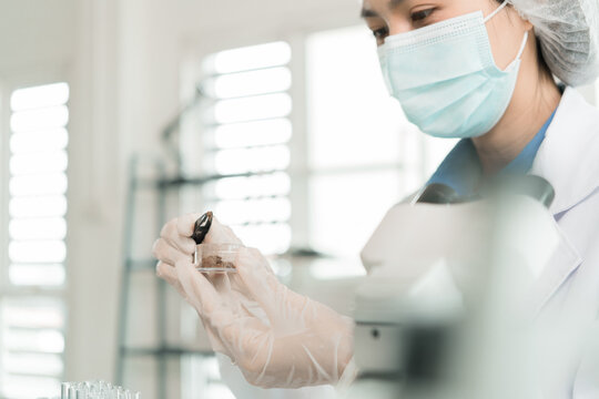 Female Laboratory Scientist Analyzing Samples with Pipette, Microscope and Laptop in Modern Research Laboratory