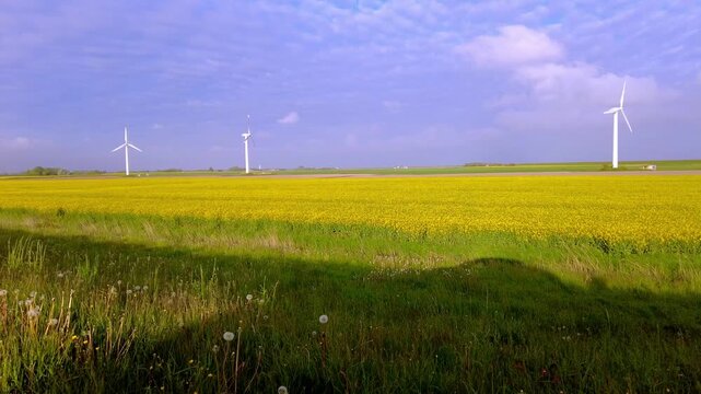 Panoramic view of the natural coastal landscape on the Nordstrand Peninsula in Schleswig-Holstein, northern Germany.
