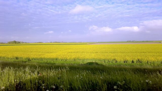 Panoramic view of the natural coastal landscape on the Nordstrand Peninsula in Schleswig-Holstein, northern Germany.