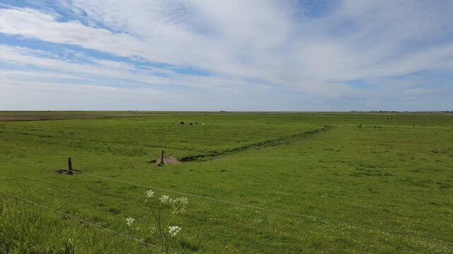 Panoramic view of the natural coastal landscape on the Nordstrand Peninsula in Schleswig-Holstein, northern Germany. 