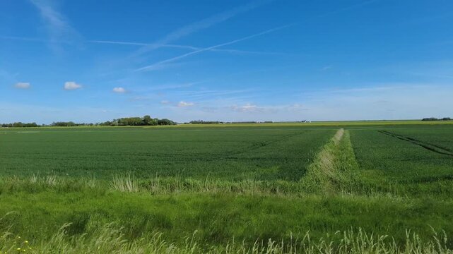 Panoramic view of the natural coastal landscape on the Nordstrand Peninsula in Schleswig-Holstein, northern Germany.