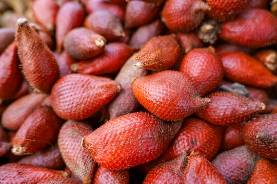 Fresh Red Salak Snake Fruit Background Scaly Skin Asian Tropical Food Market