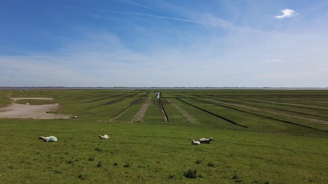 Panoramic view of the natural coastal landscape at the S&uuml;derhafen on the Nordstrand Peninsula in Schleswig-Holstein, northern Germany.