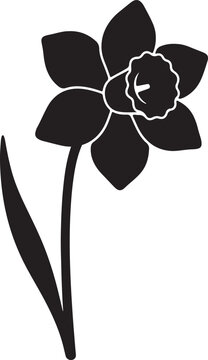 Daffodil flower silhouette vector, black narcissus floral icon on white background, spring botanical plant illustration for logo design