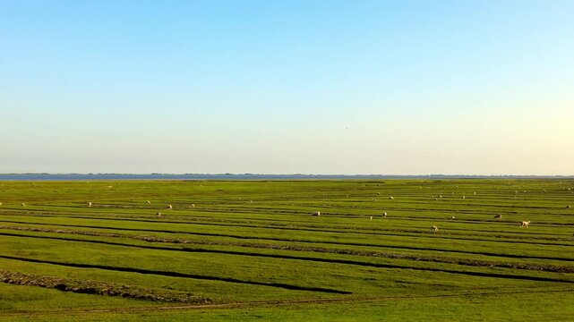 Panoramic view of the natural coastal landscape at the S&uuml;derhafen on the Nordstrand Peninsula in Schleswig-Holstein, northern Germany. 