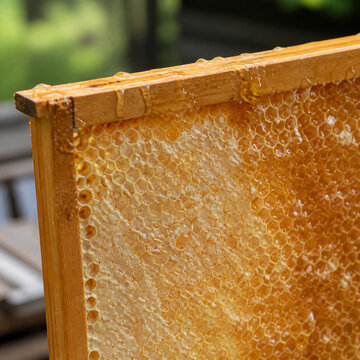 Honeycomb Texture with Golden Honey and Natural Wax