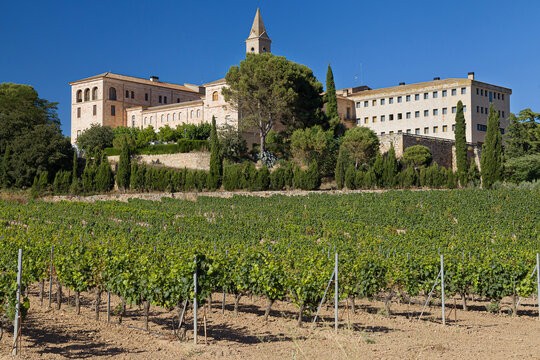Monastery of Les Avellanes and Vineyard in Lleida