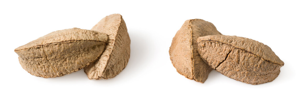 In-sell Brazil nut isolated on the white background.