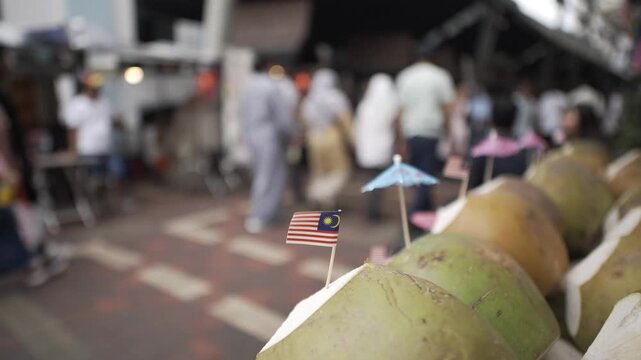 Coconuts Malaysia Flag