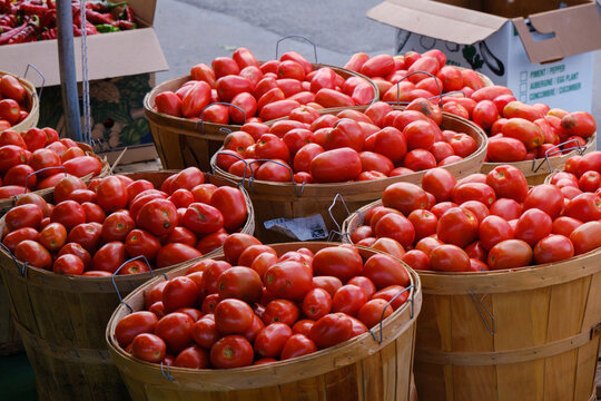 Tomatoes at Montreal market