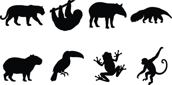 Silhouettes of Tropical Rainforest Animals Including Jaguar, Sloth, Tapir, Anteater, and Toucan
