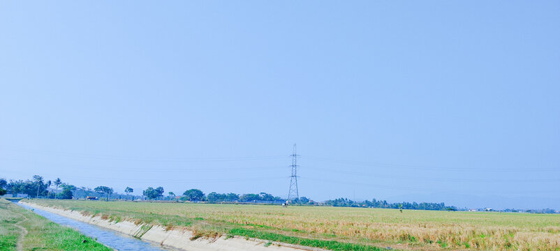 Irrigation canal through rice fields, Java, Indonesia
Wide rural landscape of golden rice fields under bright clear blue sky. Concrete irrigation canal runs along farmland,
