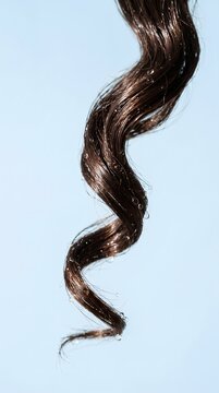 Single dark brown curly hair strand isolated against a blue background with hair care isolated background treatment cosmetic close