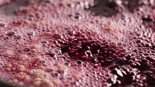 Red Wine Fermentation Bubbles Close Up Macro