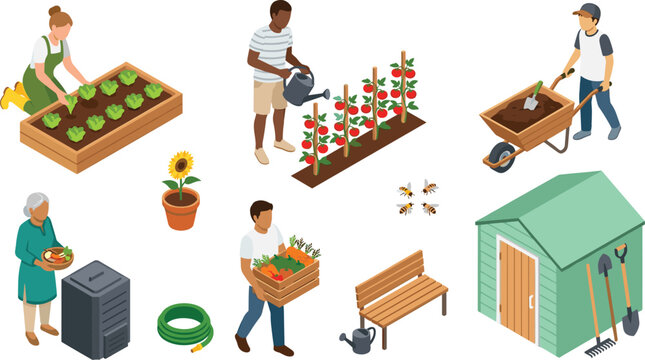 Isometric backyard community garden vector illustration set with diverse people harvesting vegetables watering plants composting shed wooden bench elements.