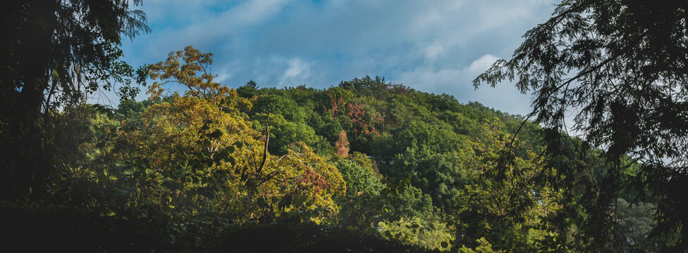 Blick vom Wald &uuml;ber Ockershausen am Morgen nach dem Regen zum Dammelsberg hin, es schon fast herbstliche Stimmung