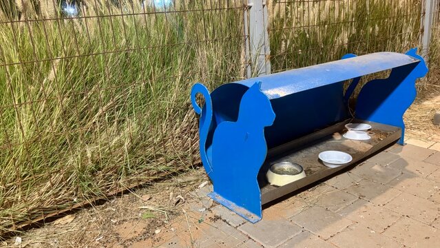 Blue metal cat feeder positioned in urban area with grass for outdoor stray animal feeding and community care