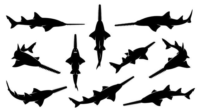 Black sawfish silhouettes collection in various aquatic swimming poses