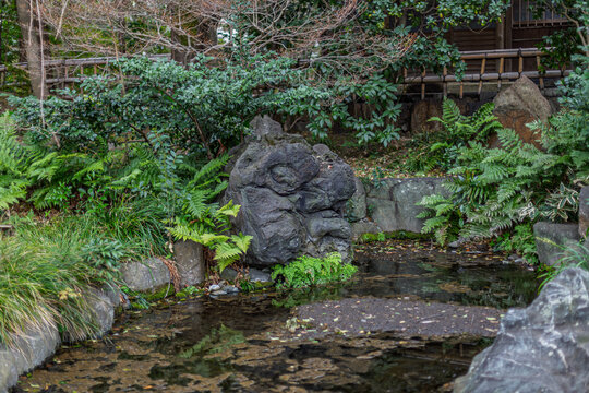 Unique volcanic rock formation resting beside the peaceful pond March 2024