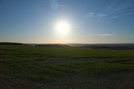 Vast green field landscape under bright sun on the horizon.