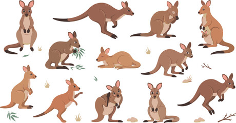 Obraz premium Cute Cartoon Kangaroo Family Collection with Mother Joey Jumping Running Poses for Australian Wildlife Animal Design Illustration Projects Icons Set