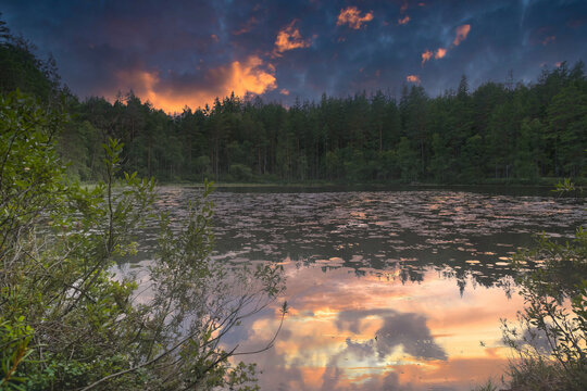 Dramatic Sunset Over Quiet Forest Lake with Water Lilies