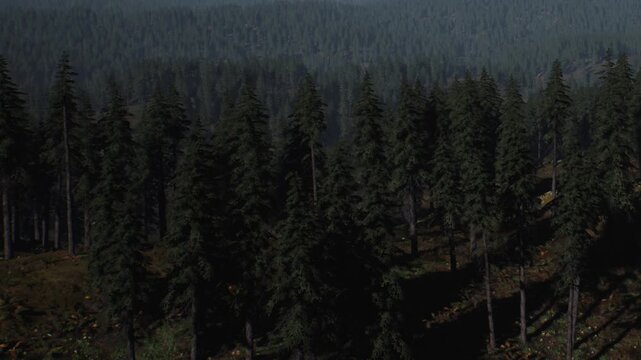 Widespread trees fill the forest with a mix of green shades. The ground shows some grass and small plants. Clouds cover the sky, giving a gloomy look to the scene in the mountains.