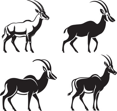 Gemsbok Oryx Antelope Silhouette Collection Vector Illustration