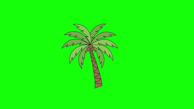 Isolated illustrated palm tree drawing featuring vibrant green foliage against chroma key green background for digital asset design