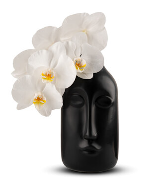 white orchid flower in a modern black face vase isolated on transparent background, abstract floral design for interior decor, texture decoration overlay template